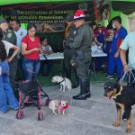 ‘Navidad con Amor a las Mascotas’, estrategia para el cuidado animal