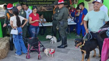 ‘Navidad con Amor a las Mascotas’, estrategia para el cuidado animal