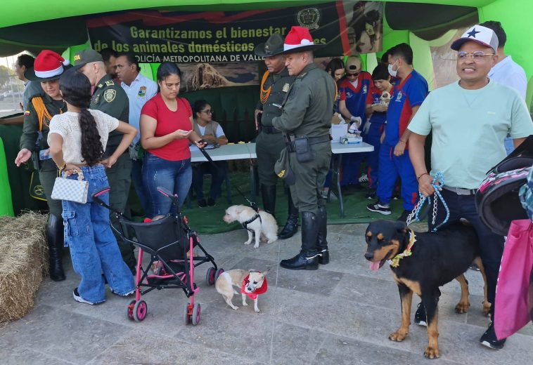 ‘Navidad con Amor a las Mascotas’, estrategia para el cuidado animal