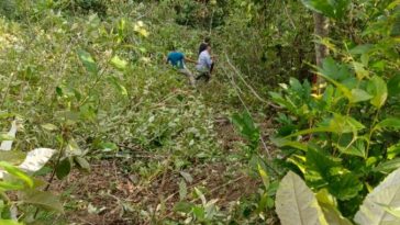 Accidente de bus en vía La Peña-Tobia deja al menos 4 muertos Bomberos de Cundinamarca reportaron un grave accidente de tránsito en la vía La Peña - Tobia. Esto es lo que se sabe.