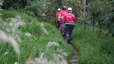 Alcalde Galán se pronuncia sobre incendio en San Cristóbal: "Está 100% controlado" El mandatario añadió que, de manera preliminar, se estima que el área afectada es de alrededor de 10.49 hectáreas.