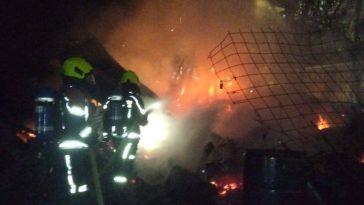 Bomberos de Marmato salvaron a un perro que quedó atrapado en el incendio de una edificación