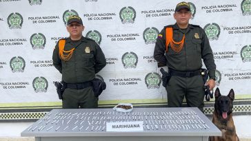 Canino antidrogas detectó marihuana en un parque