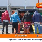 Capturan a cuatro hombres robando aguacates en Chinchiná