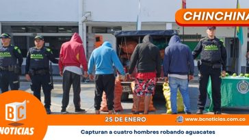 Capturan a cuatro hombres robando aguacates en Chinchiná