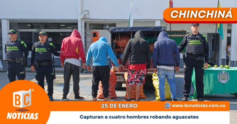 Capturan a cuatro hombres robando aguacates en Chinchiná