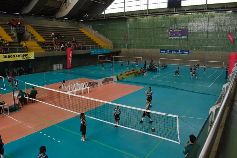 voleibol