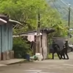 Chocó: Muere patrullero de la Policía que resultó herido durante ataque armado del Eln en Río Iró