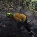 Continúa emergencia por incendio forestal en Sibaté