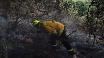 Continúa emergencia por incendio forestal en Sibaté