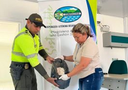 Corpamag y la Policía decomisaron más de 4.000 huevos de iguana en la Zona Bananera