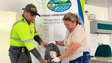 Corpamag y la Policía decomisaron más de 4.000 huevos de iguana en la Zona Bananera