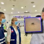 Dan cifras positivas de casos de dengue en Cali en lo que va de 2024: ha habido una reducción importante