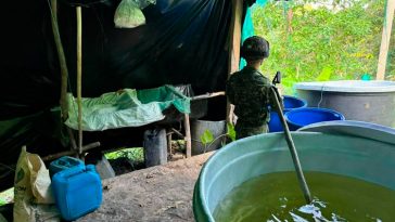 Destruyen laboratorio de coca del Clan del Golfo en el Cesar