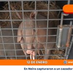 En Neira capturaron a un cazador que tenía en su poder a dos armadillos