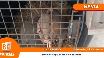 En Neira capturaron a un cazador que tenía en su poder a dos armadillos