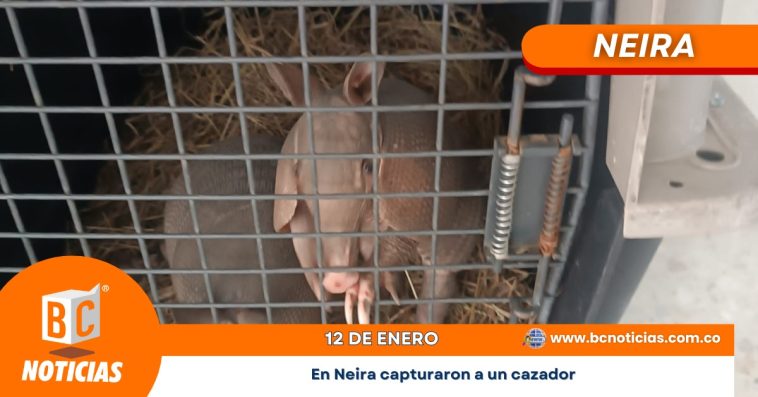 En Neira capturaron a un cazador que tenía en su poder a dos armadillos