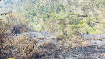 En Palestina se registró un incendio forestal