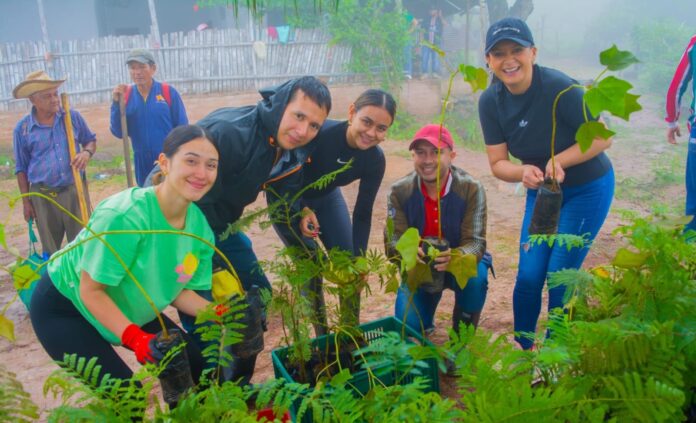 Exitosa jornada de reforestación en ecosistema estratégico de Tesalia 