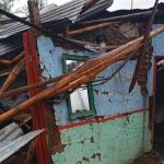 Los árboles quedaron encima de la casa acabando con lo poco que tenían en su interior.