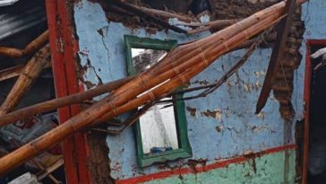 Los árboles quedaron encima de la casa acabando con lo poco que tenían en su interior.