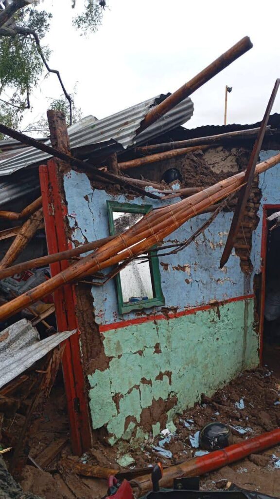 Los árboles quedaron encima de la casa acabando con lo poco que tenían en su interior.