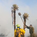 Fotos: voraz incendio en el páramo Cortadera del Diablo en Boyacá amenaza especie única de frailejón; hay más de 200 hectáreas quemadas