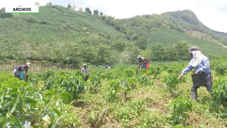 Concejales piden 'suroeste distrito agropecuario'