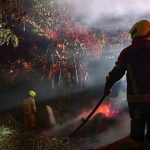 Incendio estructural afecta trapiche panelero en Filadelfia