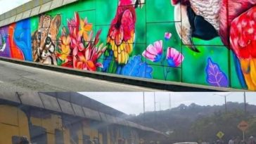 Indignación Ciudadana por Alteración del Mural Emblemático del Puente Carlos Ramírez París