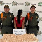 la mujer aparece en la imagen de espalda a la cámara, custodiada por dos uniformados de la Policía, y en una mesa los huevo de tortuga incautados