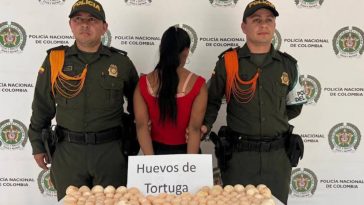 la mujer aparece en la imagen de espalda a la cámara, custodiada por dos uniformados de la Policía, y en una mesa los huevo de tortuga incautados