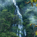 La chorrera del amor en Ricaurte, Nariño