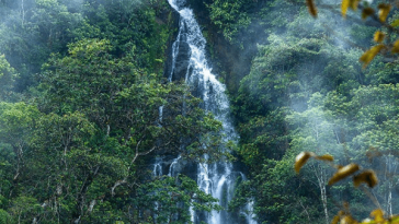 La chorrera del amor en Ricaurte, Nariño