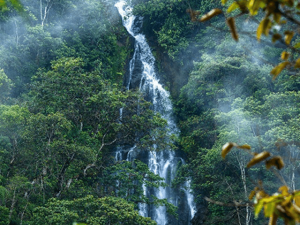 La chorrera del amor en Ricaurte, Nariño