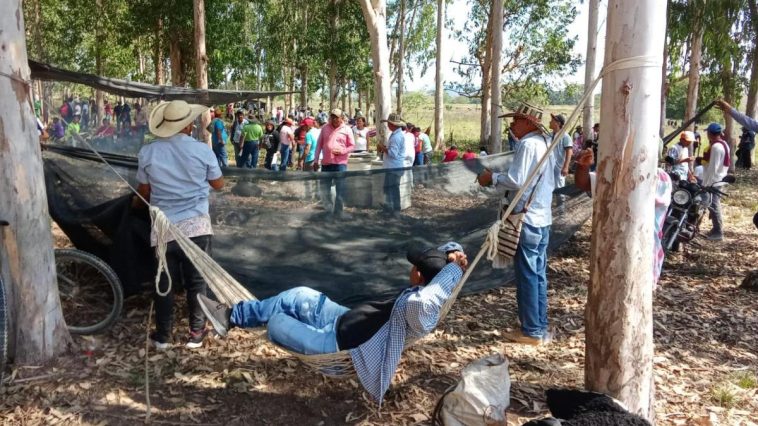 Minga indígena se tomó haciendas en San Antonio de Palmito (Sucre) por reclamo de tierras a la SAE