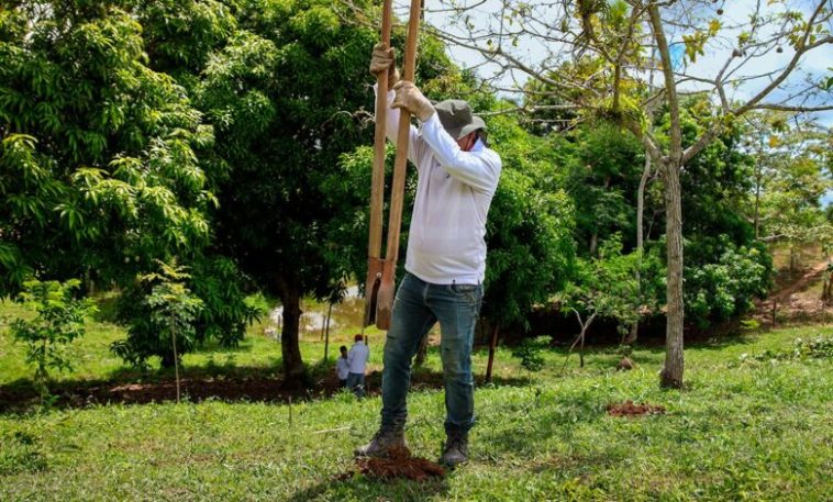 Montería: adjudican por primera vez contrato de Pago por Servicios Ambientales