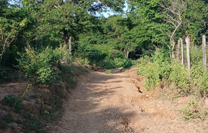 Este es el carreteable que conduce a Montes de Oca.