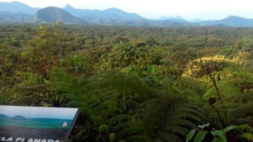 Propuesta en Nariño: excluir reservas naturales de la guerra y el conflicto