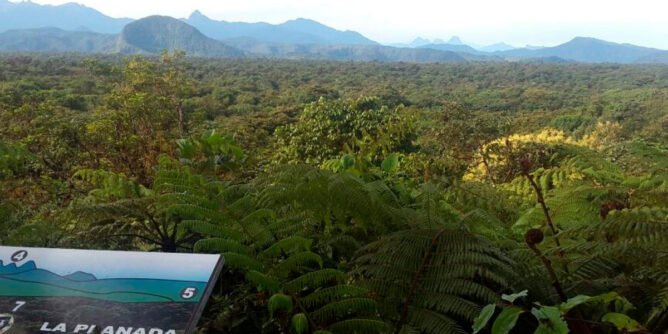 Propuesta en Nariño: excluir reservas naturales de la guerra y el conflicto