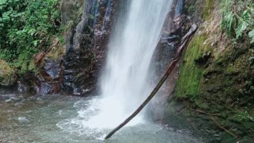 Rescatan a dos menores extraviados en las cascadas La Arenera de Pensilvania