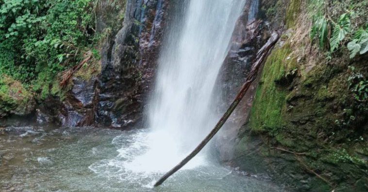 Rescatan a dos menores extraviados en las cascadas La Arenera de Pensilvania