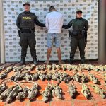 Tenía 70 iguanas listas para venderlas y lo agarró la policía