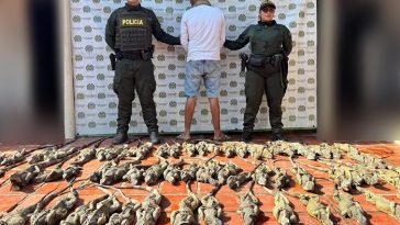 Tenía 70 iguanas listas para venderlas y lo agarró la policía