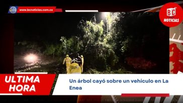 Un árbol cayó sobre un vehículo entre el Puente de la Libertad y La Enea