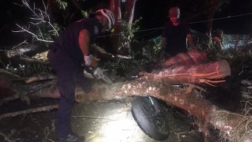 Un motociclista quedó lesionado luego de estrellarse contra un árbol en una vía de Supía