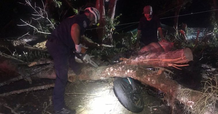 Un motociclista quedó lesionado luego de estrellarse contra un árbol en una vía de Supía