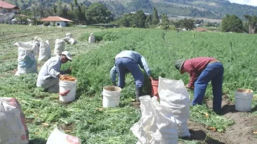 Zipaquirá, Fusagasugá y Facatativá dentro de las Zonas de Protección Agrícola