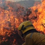 ¿Manos criminales? Investigan origen del incendio en el Páramo de Chingaza