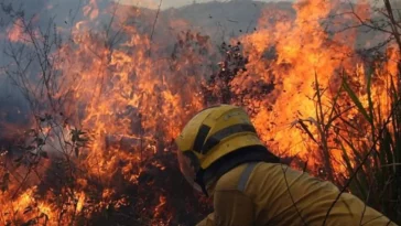 ¿Manos criminales? Investigan origen del incendio en el Páramo de Chingaza